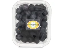Primagusto Heidelbeeren