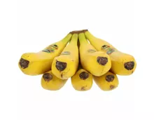 Primagusto Kanarische Bananen ca. 1kg