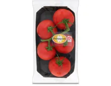 Primagusto Tomaten Lycotom 550g