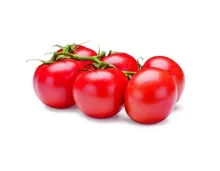 Primagusto Tomaten Lycotom 550g