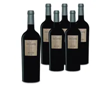 Primitivo del Salento IGT Andante 6x 75cl (2023) – Rotwein, Italien (0.75l)