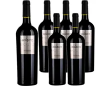 Primitivo del Salento IGT Andante 6x 75cl (2024) – Rotwein, Italien (0.75l)