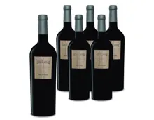 Primitivo del Salento IGT Andante 6x 75cl