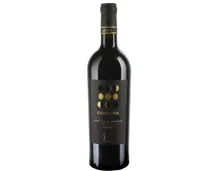 Primitivo di Manduria DOP Riserva Concura (2019) – Rotwein, Italien (0.75l)