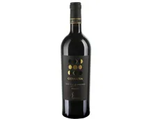 Primitivo di Manduria DOP Riserva Concura (2020) – Rotwein, Italien (0.75l)
