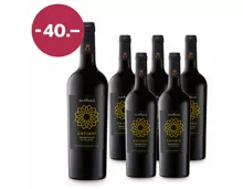 Primitivo Salento IGT Emporio Antonini 6x75cl