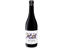Priorat DOQ Plaer Ritme Cellar (2021) – Rotwein, Spanien (0.75l)