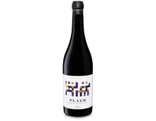 Priorat DOQ Plaer Ritme Cellar (2022) – Rotwein, Spanien (0.75l)