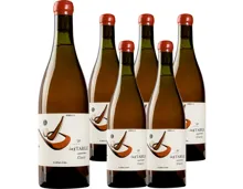 Priorat Rosé InStabile No.20 Claret Rosae-Rosa Vins Nus 6x 75cl (2020) – Roséwein, Spanien (0.75l)