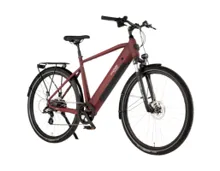PROPHETE E-Bike Entdecker 2.0 Herren 28" mit Heckmotor und inklusiv Smart-Tag