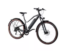 PROPHETE KEEP MOVING Stack Sport Fahrrad E-SUV 29"