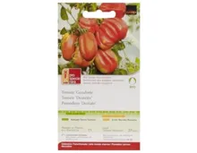 ProSpecieRara Bio Tomate Gezahnte