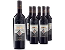 Provincia di Verona IGT Corvina Ripa Magna 6x 75cl (2023) – Rotwein, Italien (0.75l)