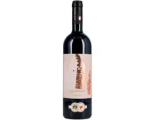 Puglia IGP Appassimento Feudi Salentini (2021) – Rotwein, Italien (0.75l)