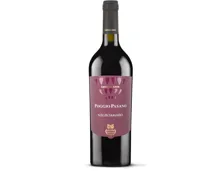 Puglia IGT Negroamaro Poggio Pasano (2024) – Rotwein, Italien (0.75l)
