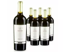 Puglia IGT Primitivo Massaro Giordano 6x 75cl