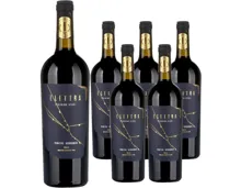 Puglia IGT Primitivo Negroamaro Elettra Giordano 6x 75cl (2024) – Rotwein, Italien (0.75l)