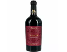 Puglia Rosso IGT Special Selection