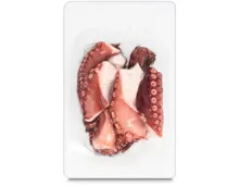 Pulpotentakel ca. 325g