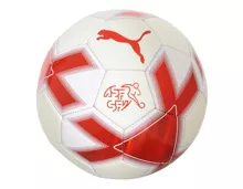 Puma SFV Cage Ball