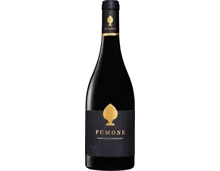 Pumone Primitivo di Manduria DOP