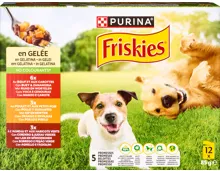 Purina Friskies Hundefutter in Gelée