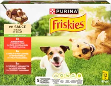 Purina Friskies Hundefutter in Sauce