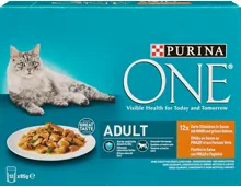 Purina ONE Adult Katzenfutter Zarte Stückchen in Sauce
