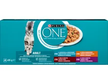 Purina ONE Adult Katzennassfutter