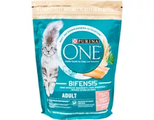 Purina One Adult Katzentrockenfutter Lachs & Vollkorn