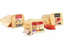 Raccard Raclette-Scheiben aromatisiert und assortiert