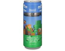 Radlberger Minecraft
