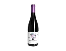 Raig de Raim, Celler Pinol