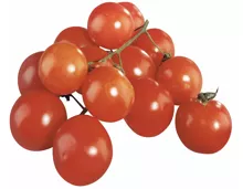 Ramati-Cherrytomaten