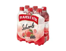 Ramseier Apfelschorle Sommerbeeren (Aktion nur in der Deutsch- und Westschweiz gültig)