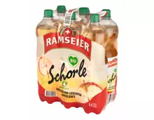 Ramseier Bio Schorle Apfel