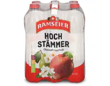 Ramseier Hochstämmer 6x1,5l