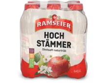 Ramseier Hochstämmer 6x50cl