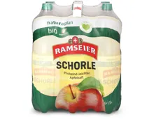 Ramseier Naturaplan Bio Apfelschorle 6x1,5l