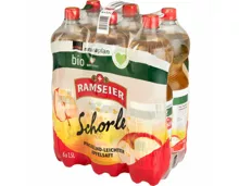 Ramseier Naturaplan Bio Apfelschorle 6x1,5l