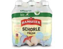 Ramseier Naturaplan Bio Schorle Fresh 6x50cl