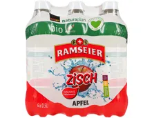 Ramseier Naturaplan Bio Zisch Apfel 6x50cl