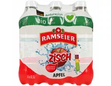 Ramseier Naturaplan Bio Zisch Apfel 6x50cl