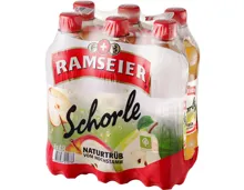 Ramseier Schorle naturtrüb vom Hochstamm 6x50cl