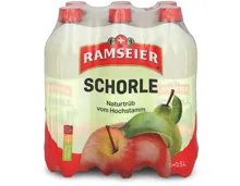 Ramseier Schorle naturtrüb vom Hochstamm 6x50cl