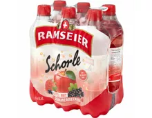 Ramseier Schorle Sommerbeeren 6x50cl