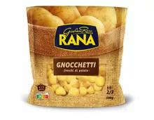 Rana Gnocchetti