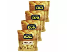 Rana Gnocchi di Patate 4x 500g