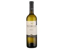 Rebula Quercus Goriska Klet Brda (2021) – Weisswein, Slowenien (0.75l)