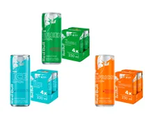 Red Bull Edition Energy Drink